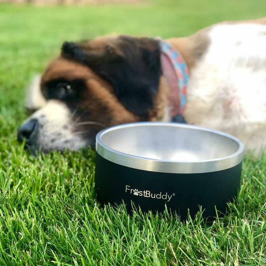 Buddy Bowl - Black