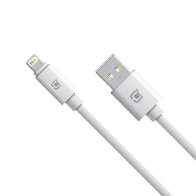 Caseco Lightning Cable - 3 Meter (9.8 Feet)